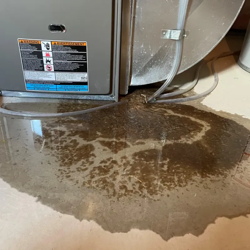 Appliance Leak Cleanup in Louisa County, IA